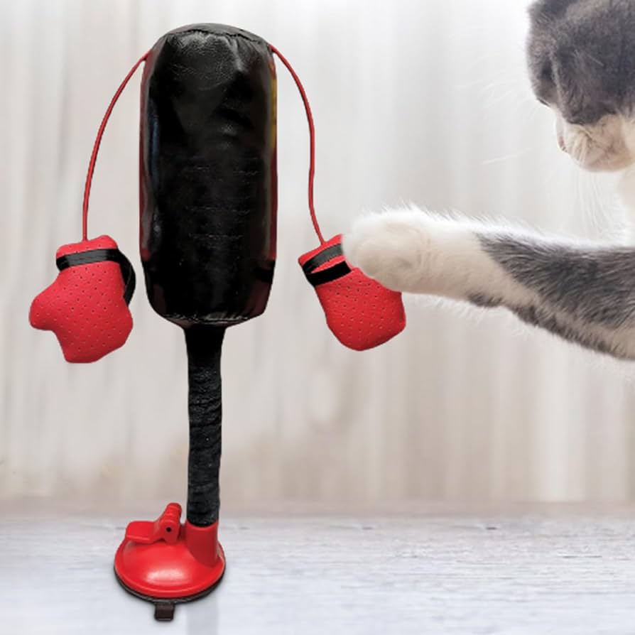 Cat Punching Bag Toy