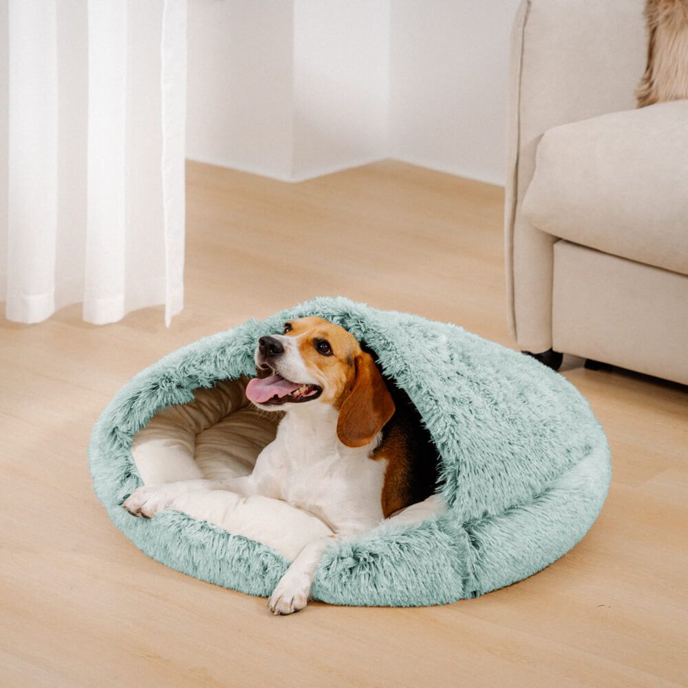 PetCloud™ Soft House