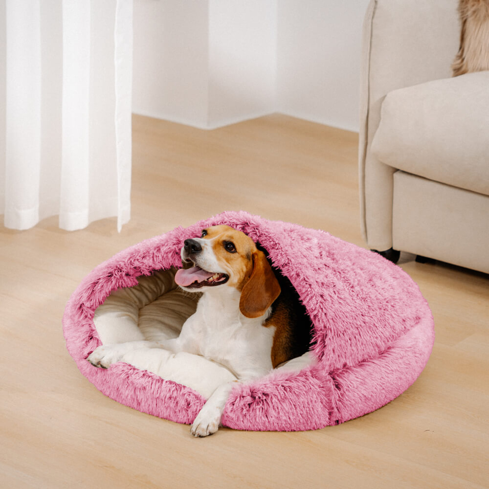 PetCloud™ Soft House