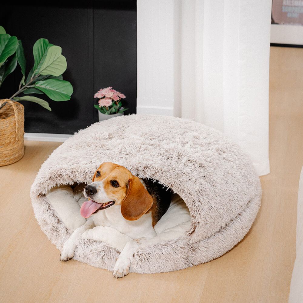 PetCloud™ Soft House