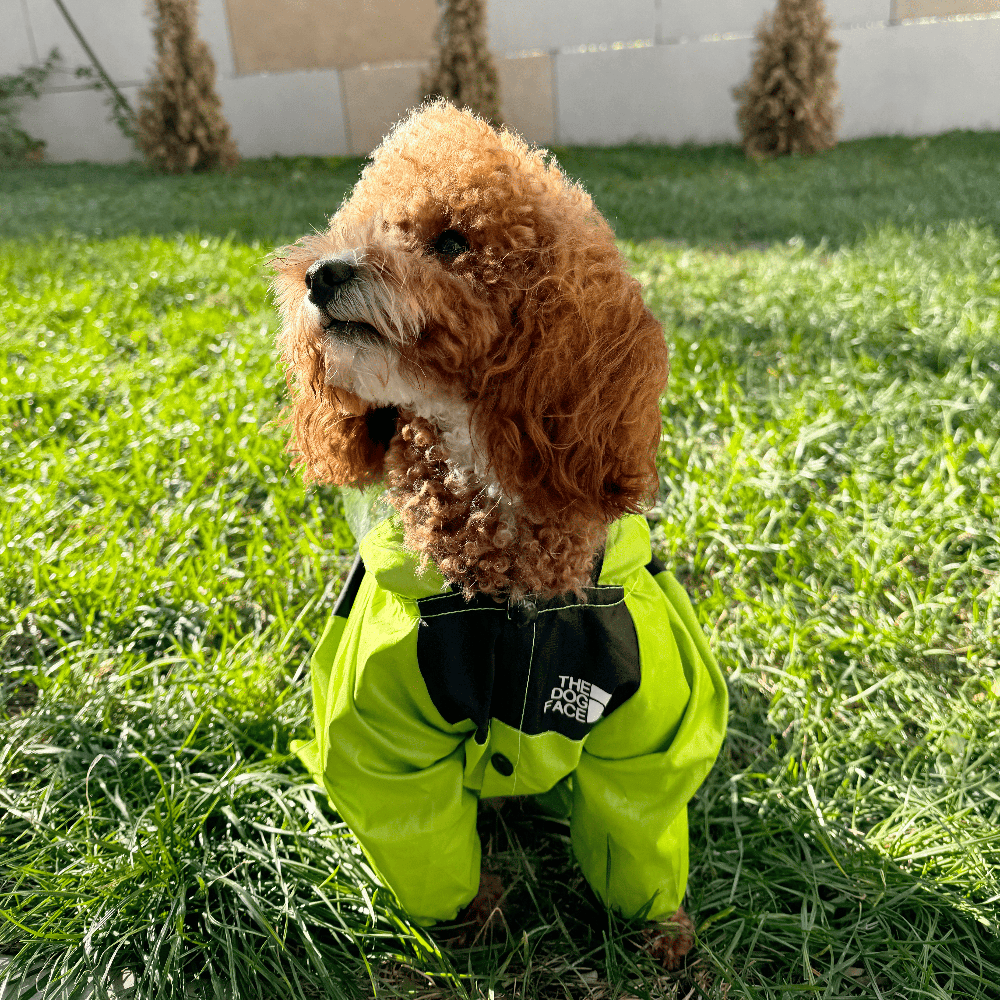 North-Dog Raincoat