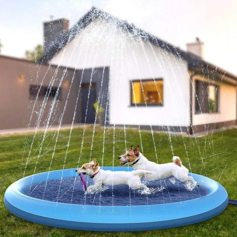 Bathtub for Dogs